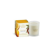 Ashleigh & Burwood Amalfi Lemon & Sea Salt Geurkaars