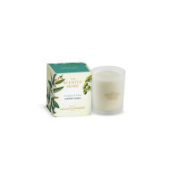 Ashleigh & Burwood Eucalyptus & Vetiver Geurkaars