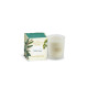 Ashleigh & Burwood Eucalyptus & Vetiver Geurkaars