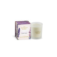 Ashleigh & Burwood Wild Lavender & Lilac Geurkaars